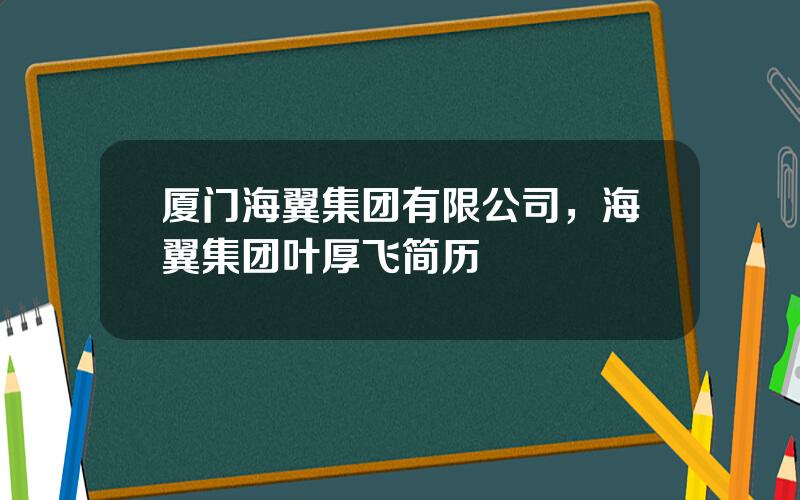 厦门海翼集团有限公司，海翼集团叶厚飞简历