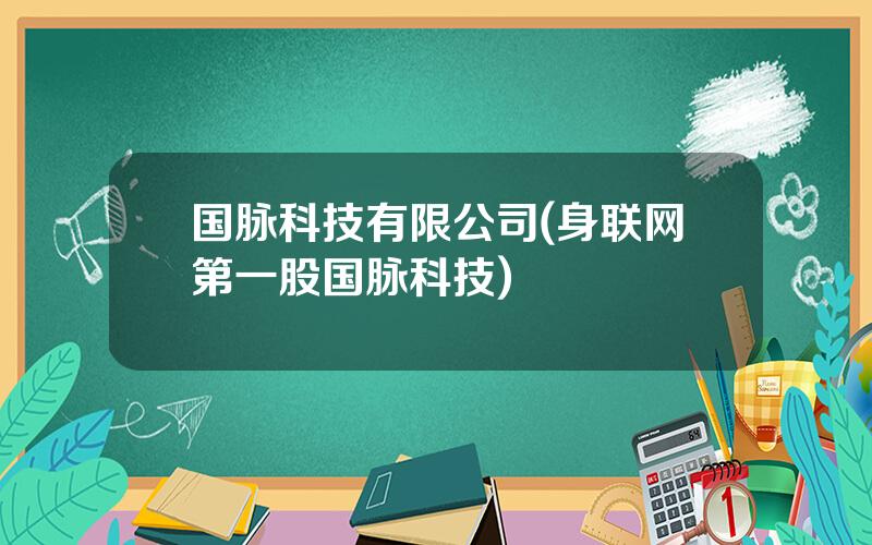 国脉科技有限公司(身联网第一股国脉科技)