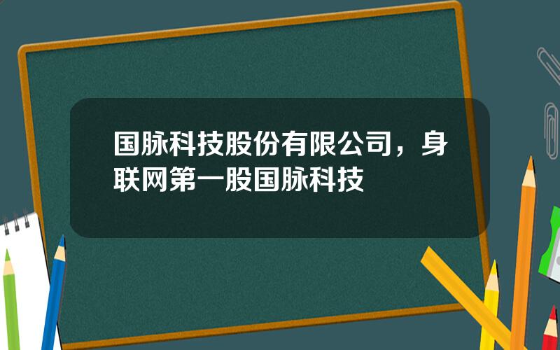 国脉科技股份有限公司，身联网第一股国脉科技