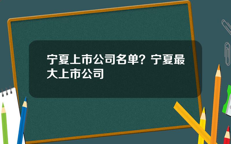 宁夏上市公司名单？宁夏最大上市公司