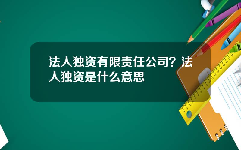 法人独资有限责任公司？法人独资是什么意思